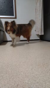 夜のお時間　2025/1/7