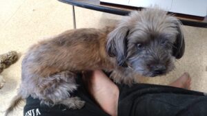 朝のお時間　2025/1/8