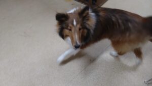 夜のお時間　2025/1/8