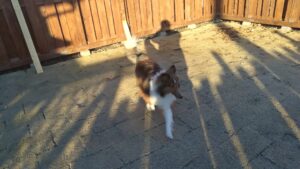 朝のお時間　2025/1/9