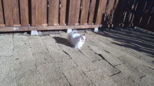 朝のお時間　2025/1/10