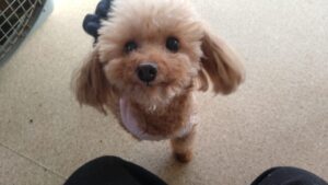 朝のお時間　2025/1/11