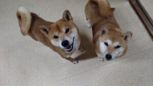 夜のお時間　2025/1/11