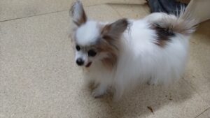 朝のお時間　2025/1/13