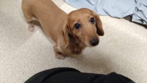 夜のお時間　2025/1/13