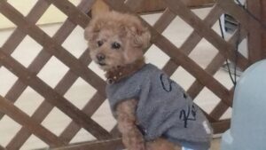 朝のお時間　2025/1/14