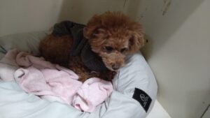 夜のお時間　2025/1/14