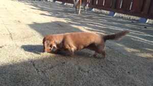 朝のお時間　2025/1/15