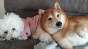 朝のお時間　2025/1/16