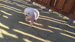 朝のお時間　2025/1/17