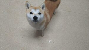 夜のお時間　2025/1/19