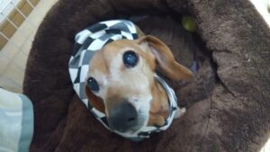 朝のお時間　2025/1/20