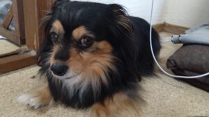 朝のお時間　2025/1/21