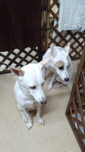 夜のお時間　2025/1/21