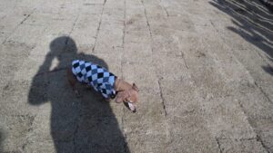 午前のお時間　2025/1/23