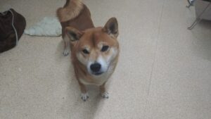 夜のお時間　2025/1/23