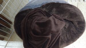 夜のお時間　2025/1/25