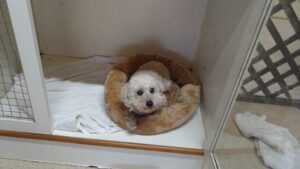 夜のお時間　2025/1/28