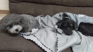 夜のお時間　2025/1/30