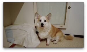 夜のお時間　2025/1/12