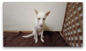 夜のお時間　2025/1/16