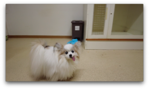 夜のお時間　2025/1/9