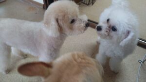 朝のお時間　2025/2/3