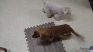 夜のお時間　2025/2/3