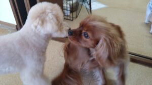 午前のお時間　2025/2/4