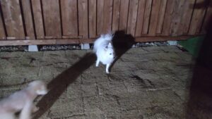 夜のお時間　2025/2/4