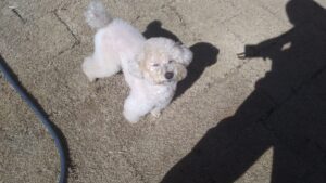 朝のお時間　2025/2/5