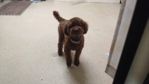 夜のお時間　2025/2/5