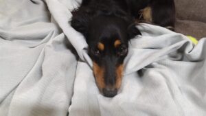 夜のお時間　2025/2/7