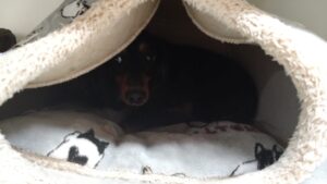 朝のお時間　2025/2/8