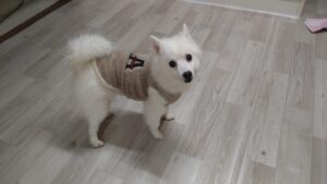 夜のお時間　2025/2/8