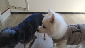 朝のお時間　2025/2/9