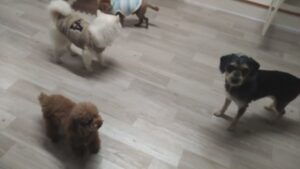 夜のお時間　2025/2/9