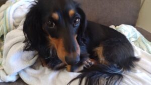 朝のお時間　2025/2/10