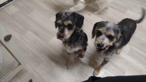 夜のお時間　2025/2/10