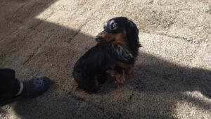 朝のお時間　2025/2/11