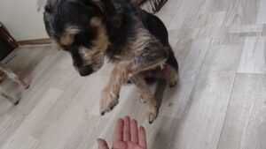 夜のお時間　2025/2/11