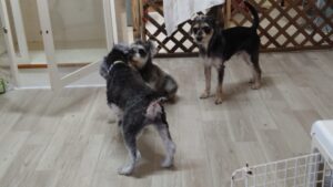 午前のお時間　2025/2/13