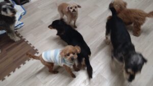 夜のお時間　2025/2/13