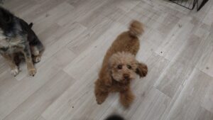 夜のお時間 2025/2/14