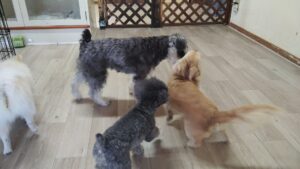 朝のお時間　2025/2/16