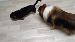 夜のお時間　2025/2/16