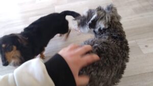 朝のお時間　2025/2/17