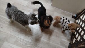 朝のお時間　2025/2/18