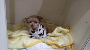 夜のお時間　2025/2/18