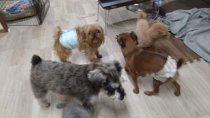 夜のお時間　2025/2/19